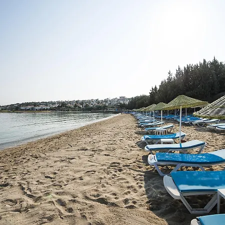 Altin Yunus Hotel&spa - Station touristique 5*